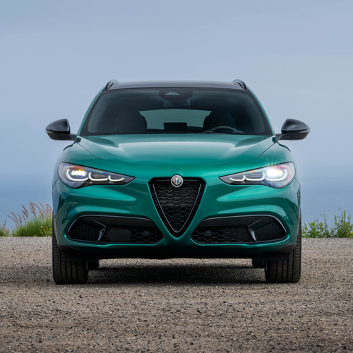 Image of Stelvio Intensa US Version