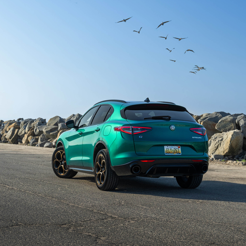 2025 Alfa Romeo Stelvio Intensa US Version Rear View