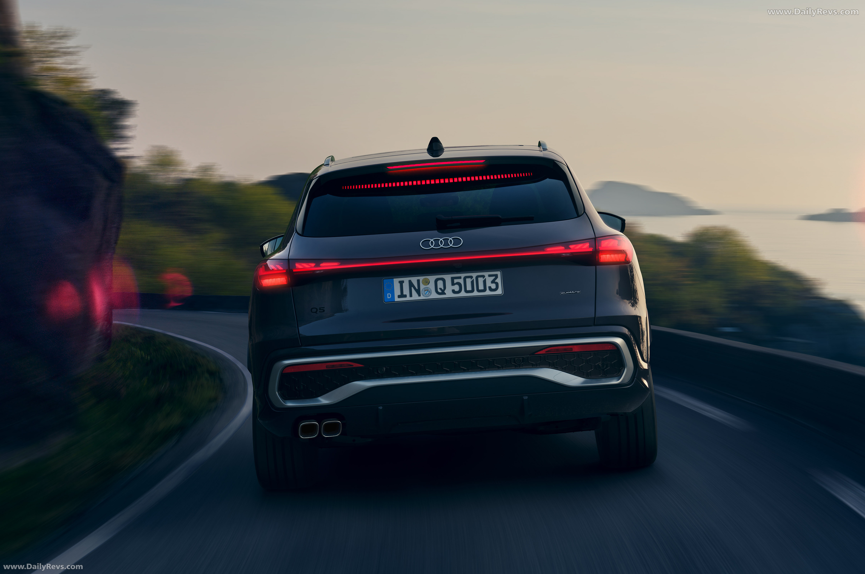 2025 Audi Q5 FY Japanese Version Rear View