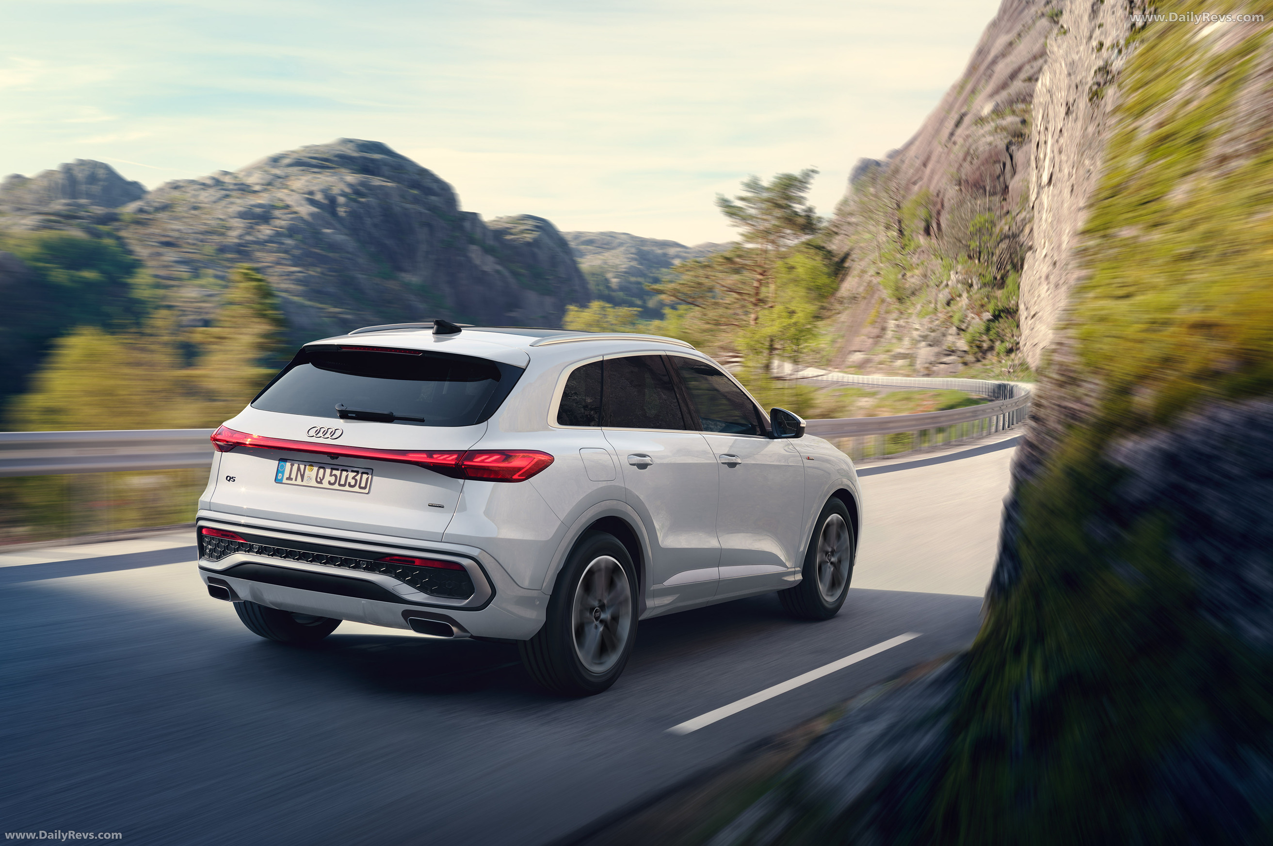 2025 Audi Q5 FY Japanese Version Rear View