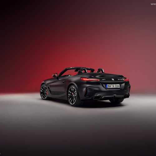 2025   Rear View