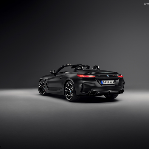 2025   Rear View