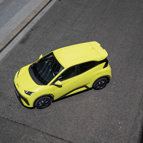 2025 BYD Dolphin Surf UK Version Top View