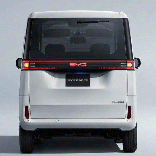 2026 BYD Racco Rear View