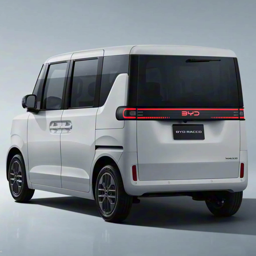 2026 BYD Racco Rear View