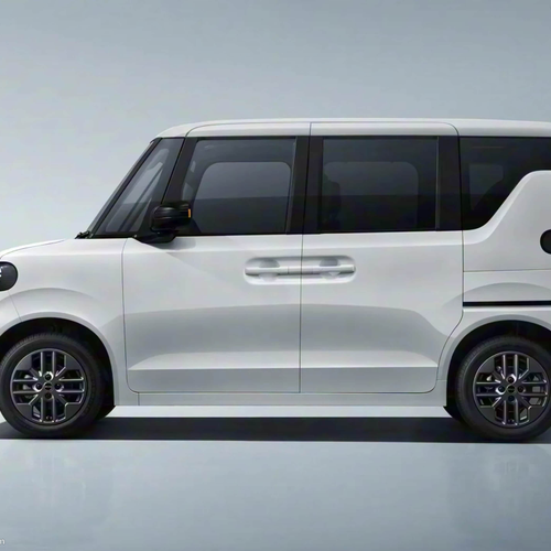 2026 BYD Racco Side View