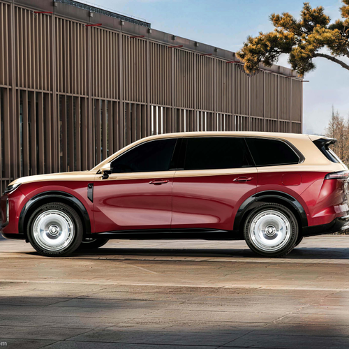 2025 Baojun Huajing S Blazing Gold Edition Rear View