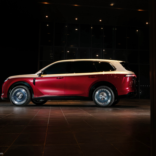 2025 Baojun Huajing S Blazing Gold Edition Rear View
