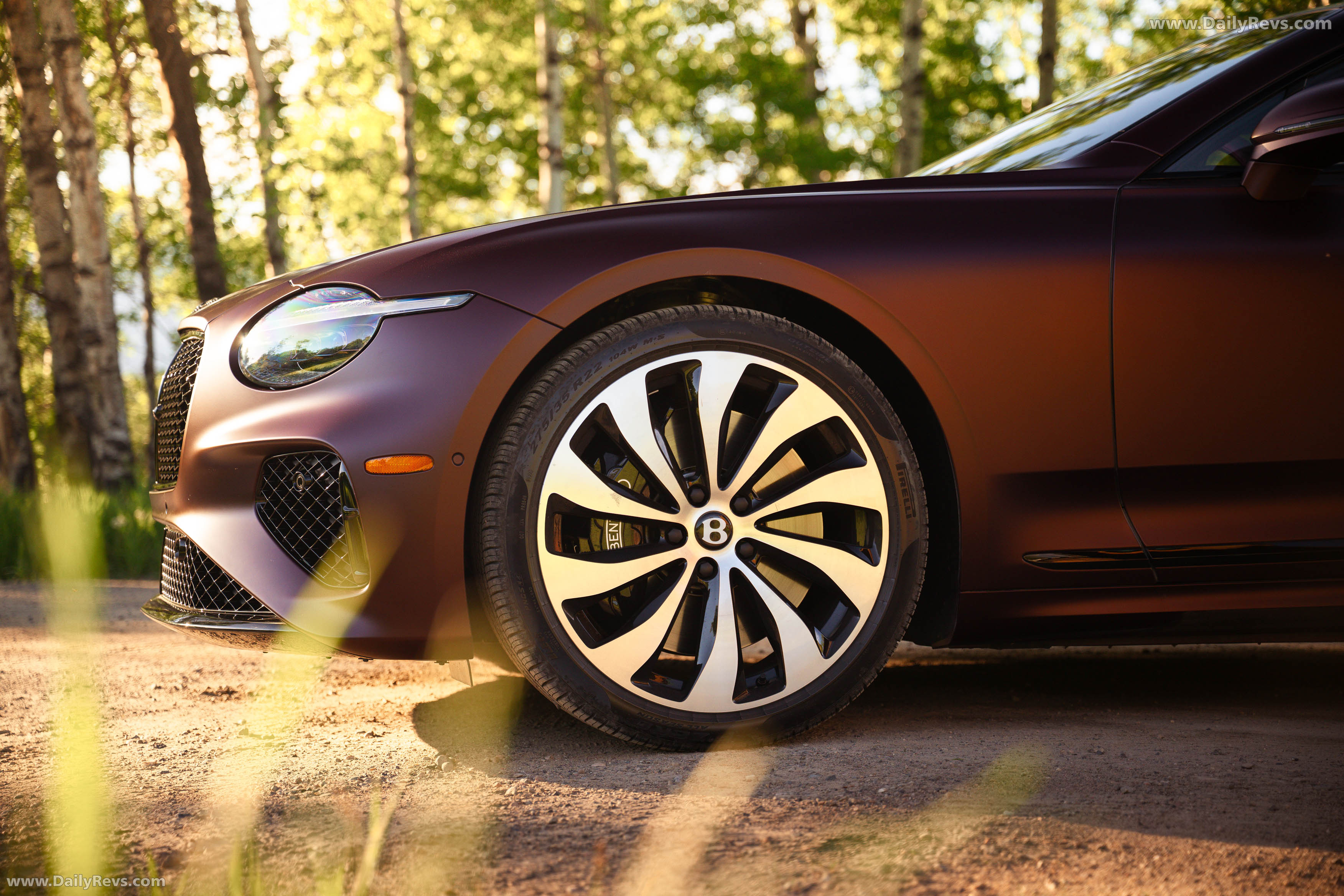 2025 Bentley Continental GT Cricket Ball Satin Exterior