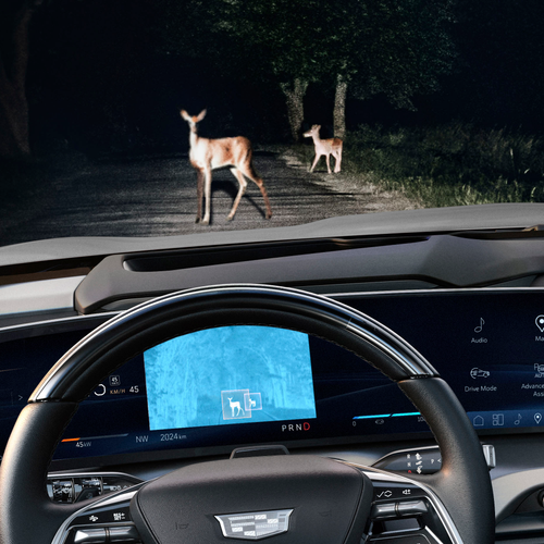 2026 Cadillac VISTIQ European Version Interior