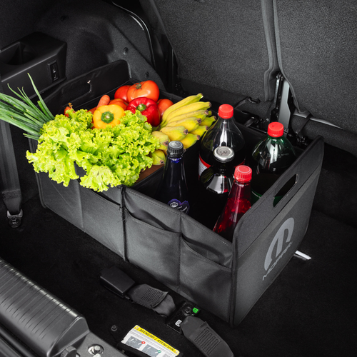 2026 Citroen Basalt Dark Edition Interior