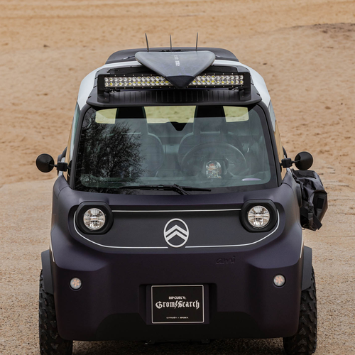 Image of AMI Vision Buggy Rip Curl