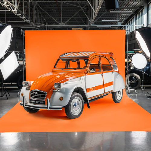 Image of 2CV Spot 50th Anniversary