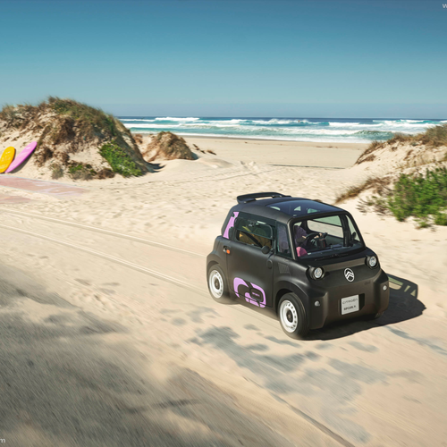 2026 Citroen Ami Rip Curl Top View