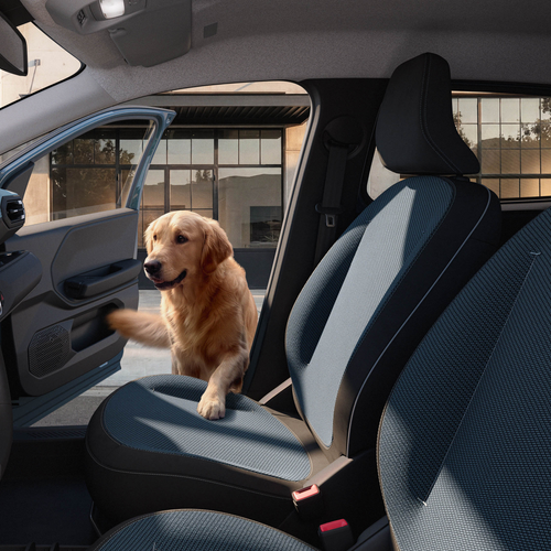 2027 Dacia Spring Interior