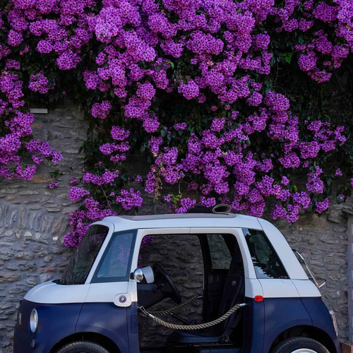 2026 Fiat Topolino Vilebrequin Collectors Edition Side View