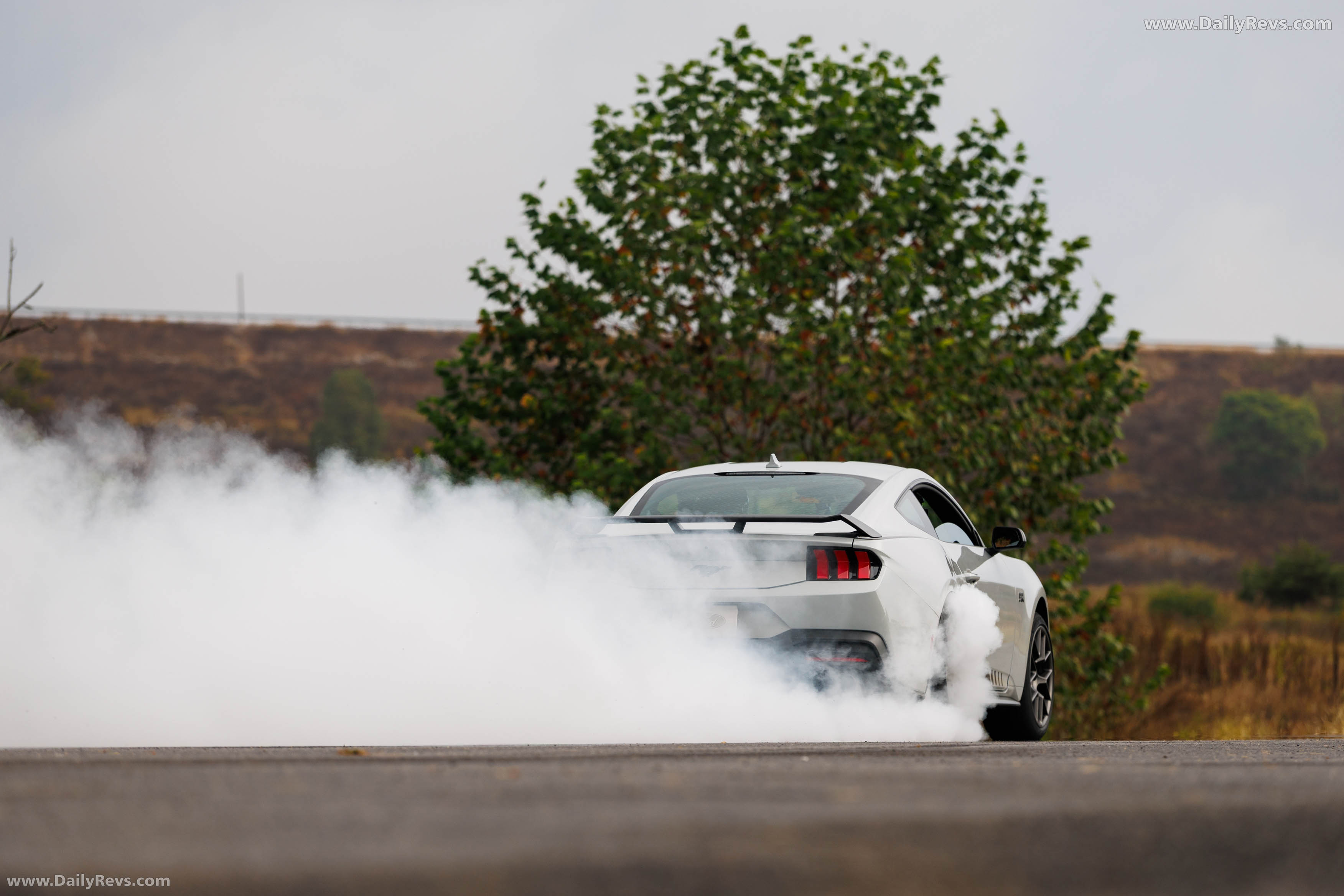 2026 Ford Mustang RTR Rear View