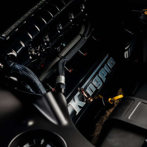 1969 Ford Mustang Mach 1 KINGPIN by Ringbrothers Engine