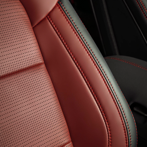 2026 Ford Mustang TLD Signature Edition Package Interior