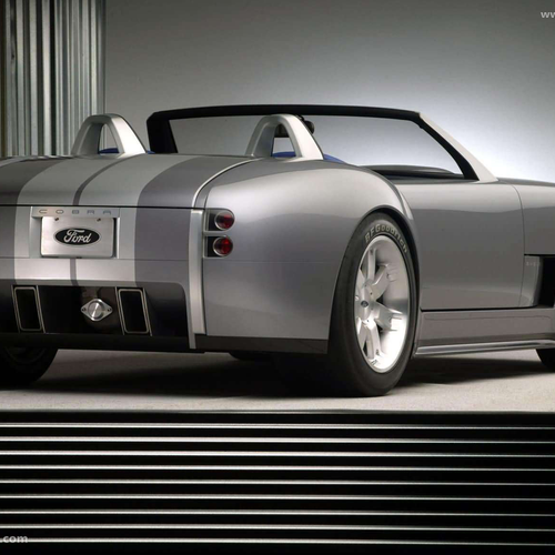 2004 Ford Shelby Cobra Concept Rear View