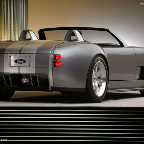 2004 Ford Shelby Cobra Concept Rear View