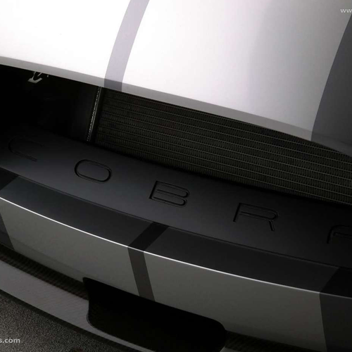 2004 Ford Shelby Cobra Concept Exterior