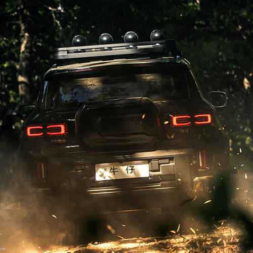 2026 Geely Cowboy Rear View