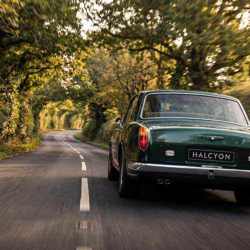 2026 Halcyon Rose And Scroll Rear View