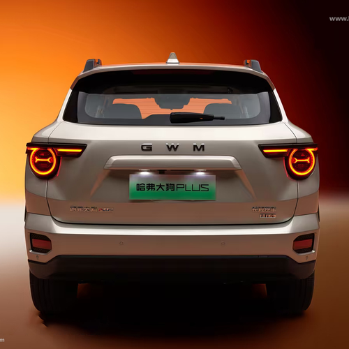 2025 Haval Big Dog PLUS Rear View
