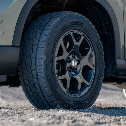 2026 Honda Pilot TrailSport Exterior