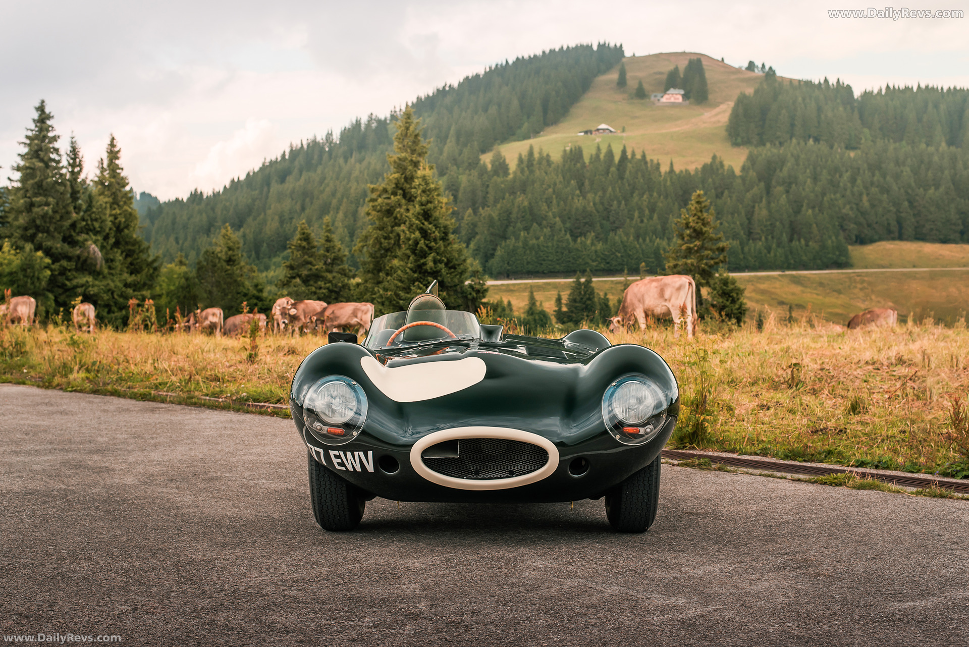 1956 Jaguar D-Type Front View