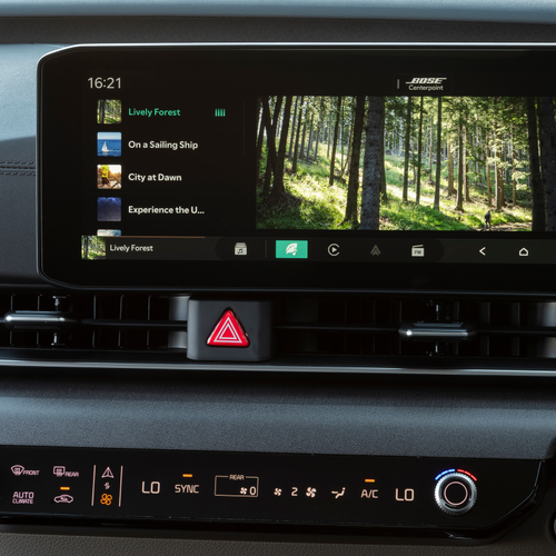 2025 Kia Carnival South African Version Interior