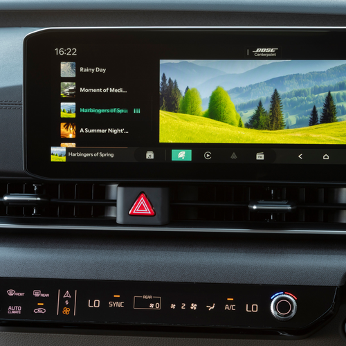 2025 Kia Carnival South African Version Interior