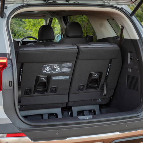 2025 Kia Carnival South African Version Interior