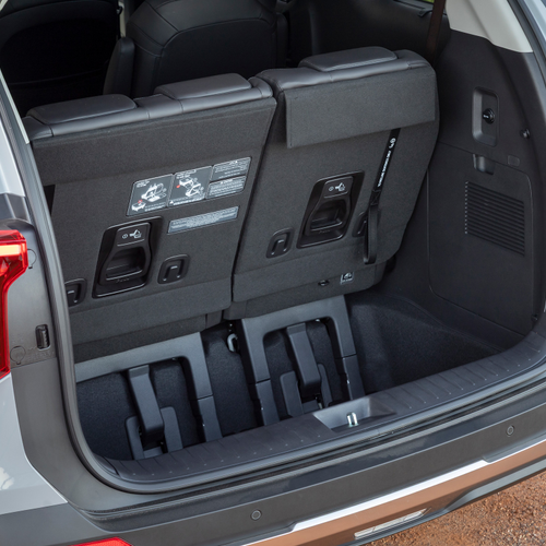 2025 Kia Carnival South African Version Interior
