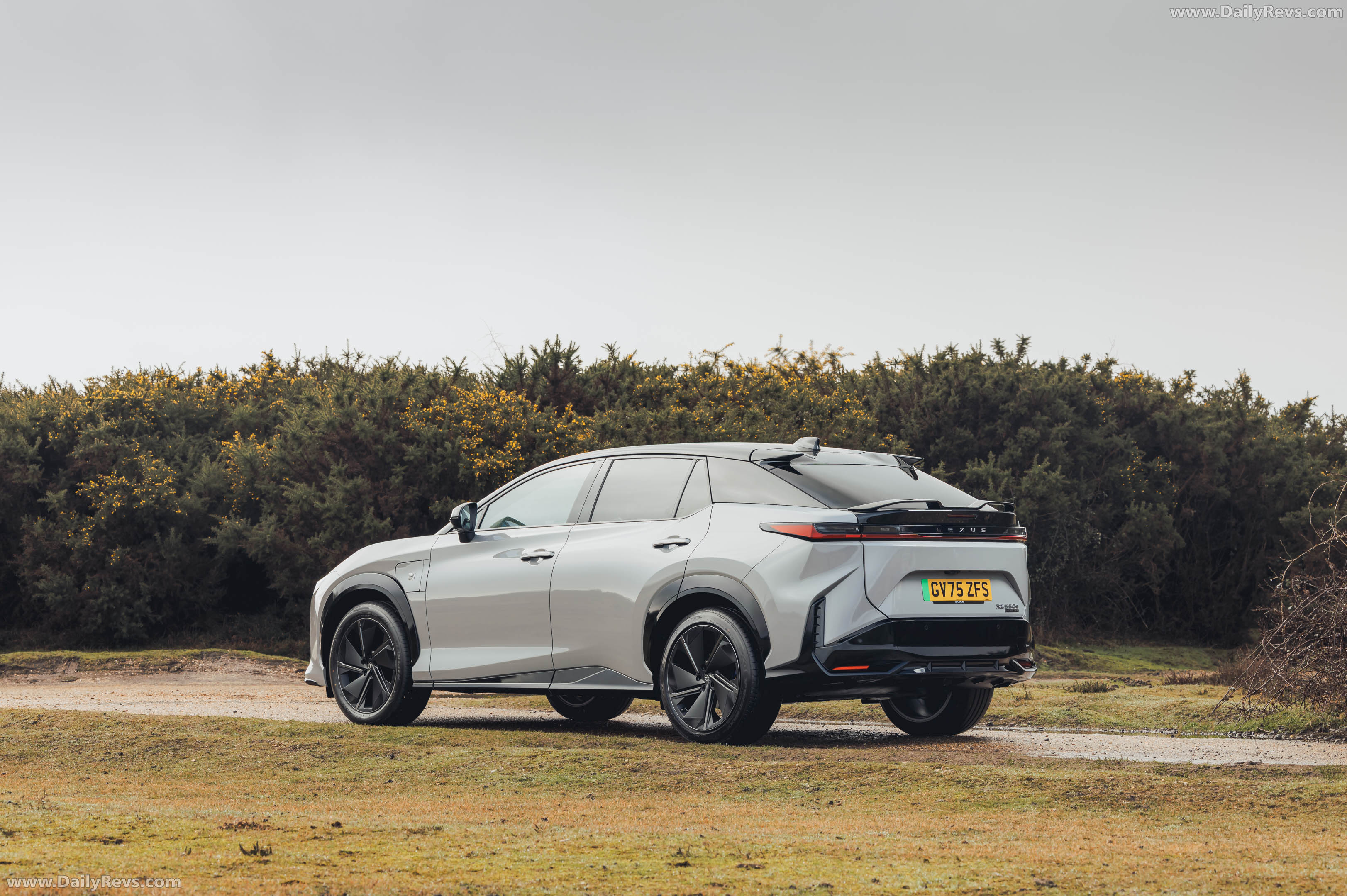 2026 Lexus RZ 550e F SPORT UK Version Rear View