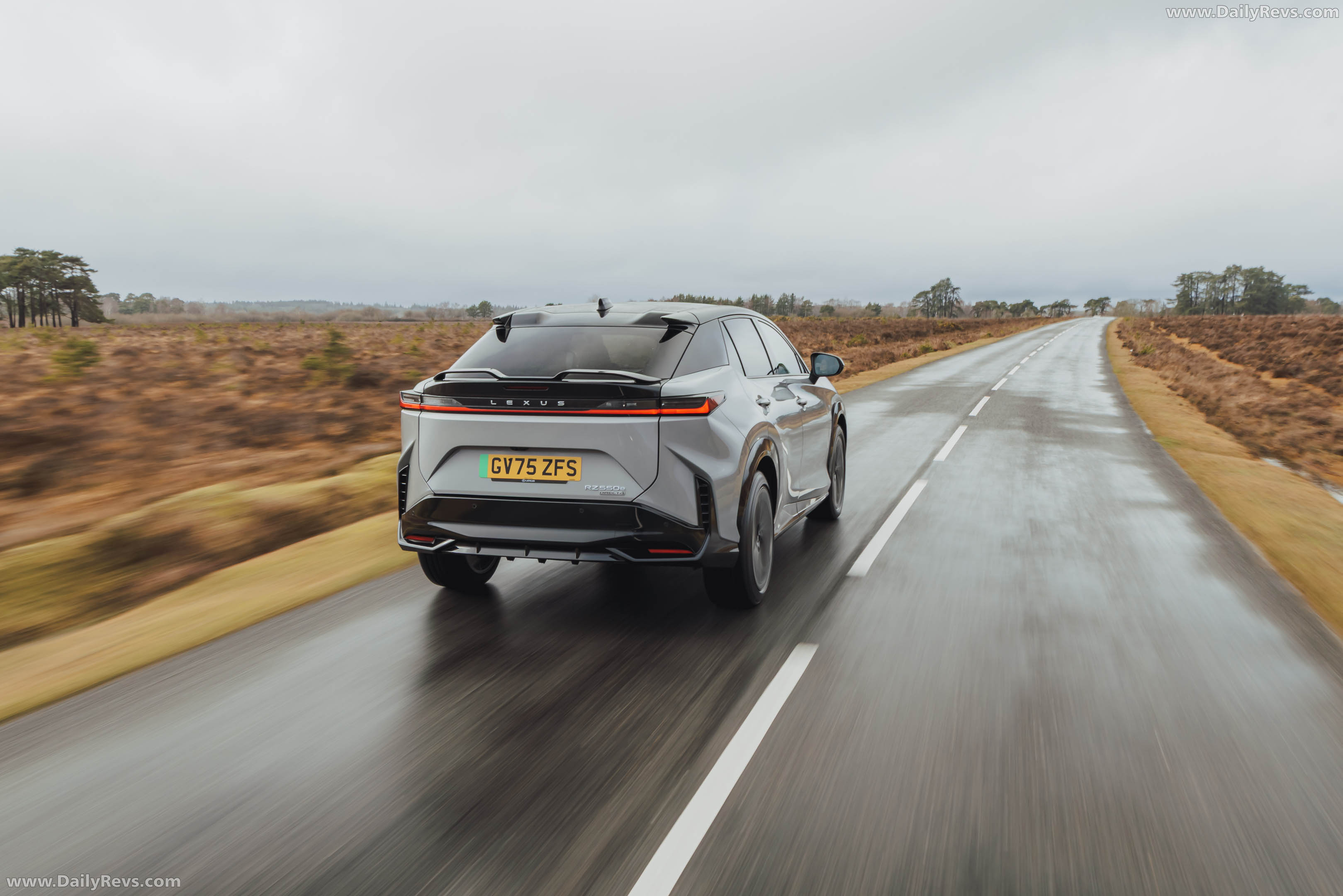 2026 Lexus RZ 550e F SPORT UK Version Rear View