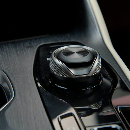 2026 Lexus RZ 550e South African Version Interior