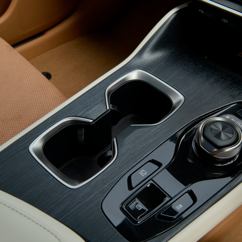 2026 Lexus RZ 550e South African Version Interior