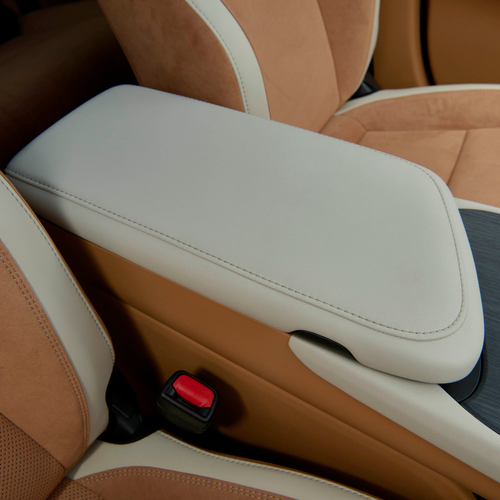2026 Lexus RZ 550e South African Version Interior
