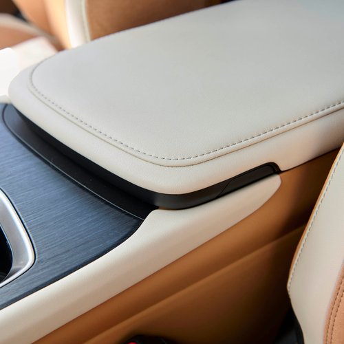 2026 Lexus RZ 550e South African Version Interior