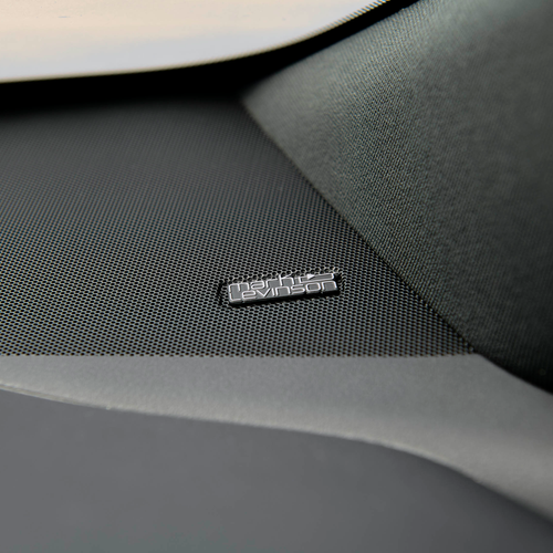 2026 Lexus RZ 550e South African Version Interior