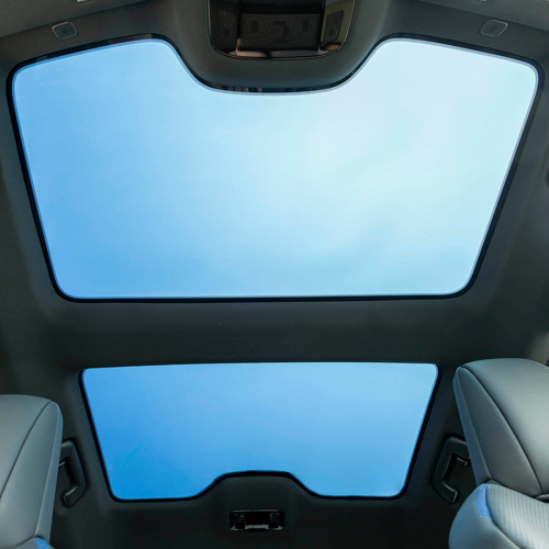 2026 Lexus RZ 550e South African Version Interior