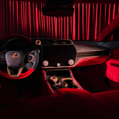 2026 Lexus RZ Blue In Green Edition Interior