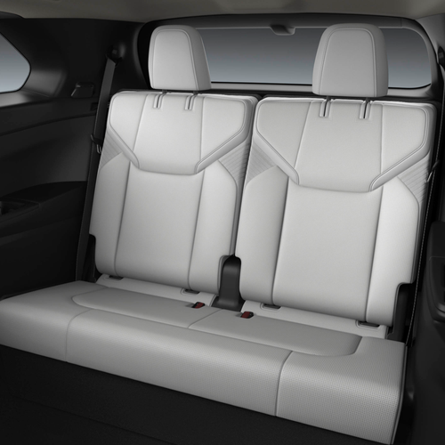 2027 Lexus TZ Interior