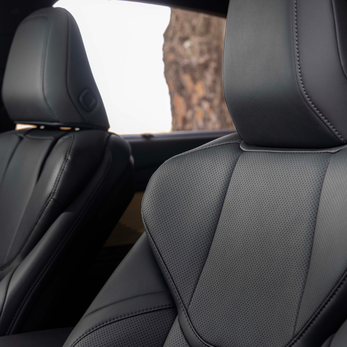 2026 Lexus ES 350e Luxury Executive Sonic Grey Interior