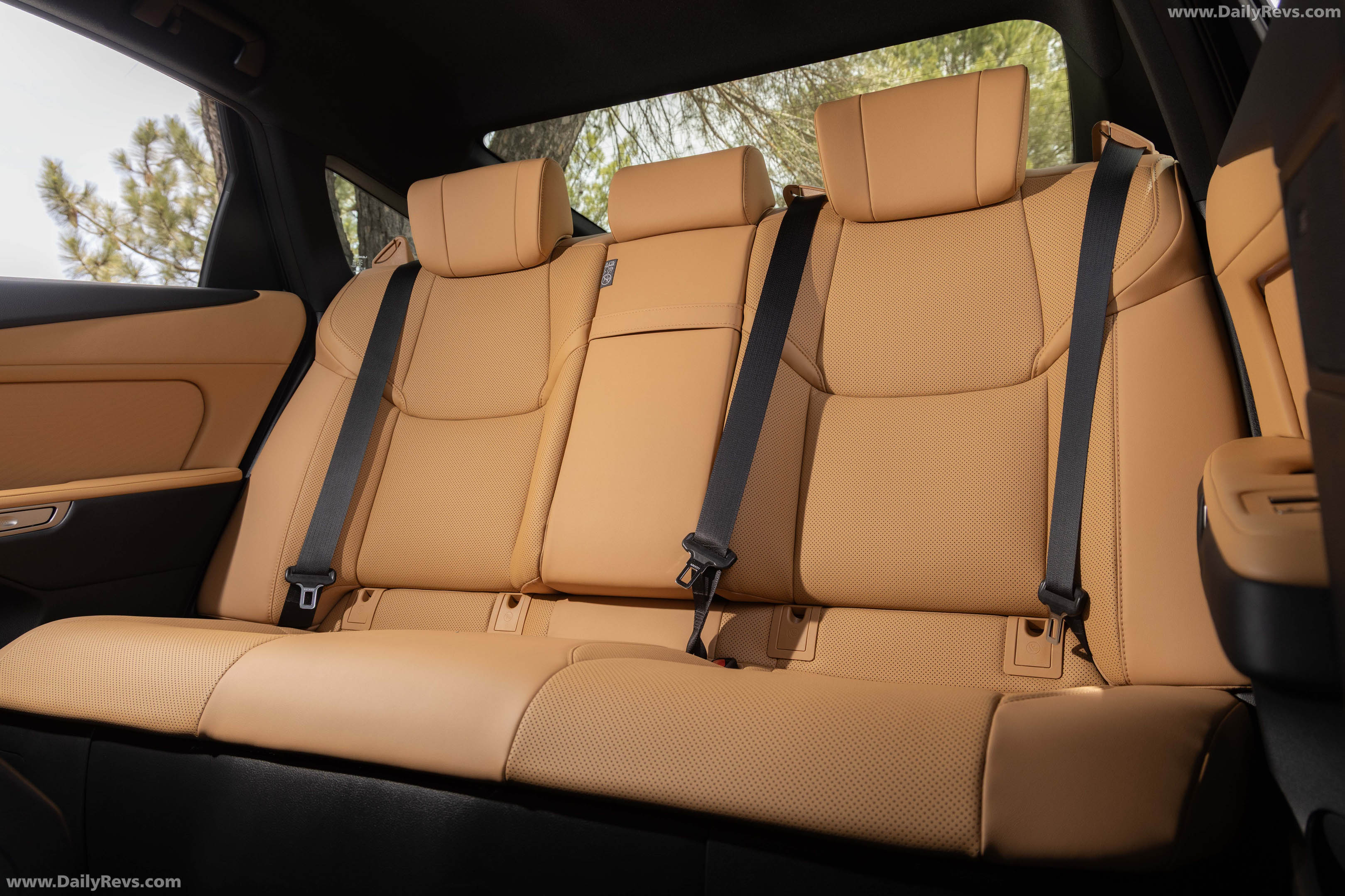 2026 Lexus ES 350H Premium Plus Skylight Blue Interior