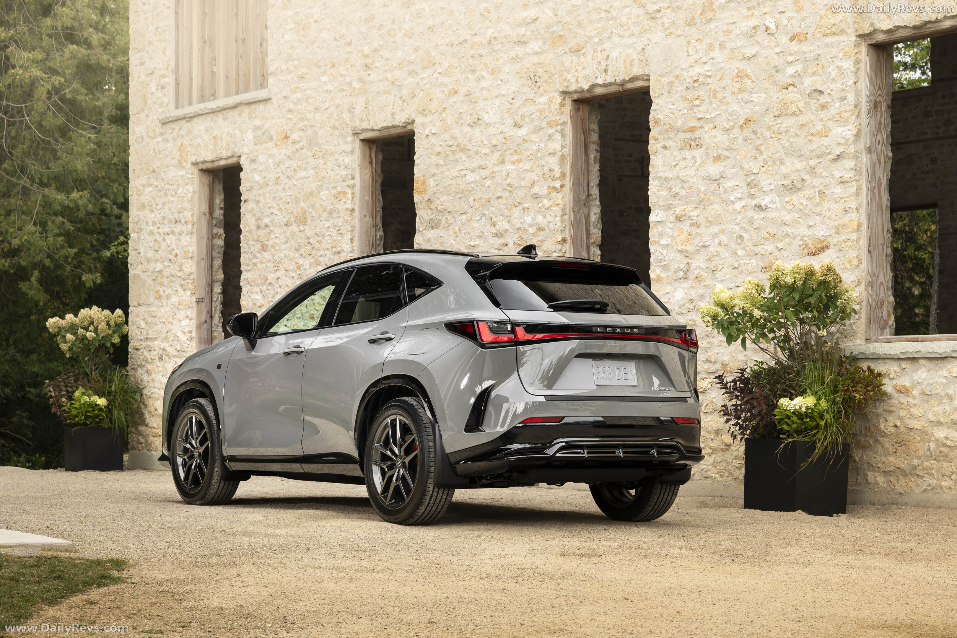 2027 Lexus NX 350h F Sport Rear View