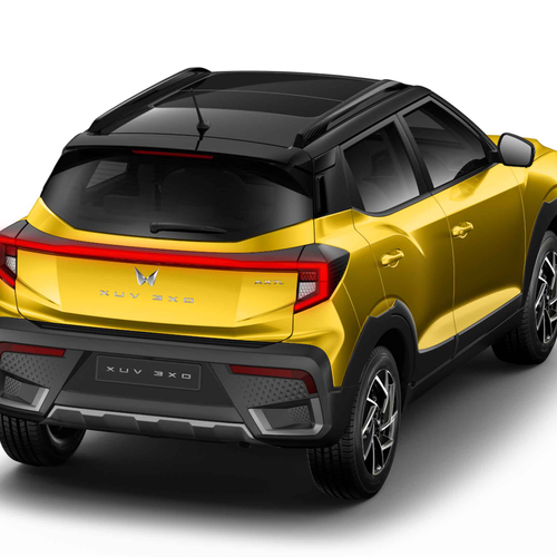 2025   Rear View