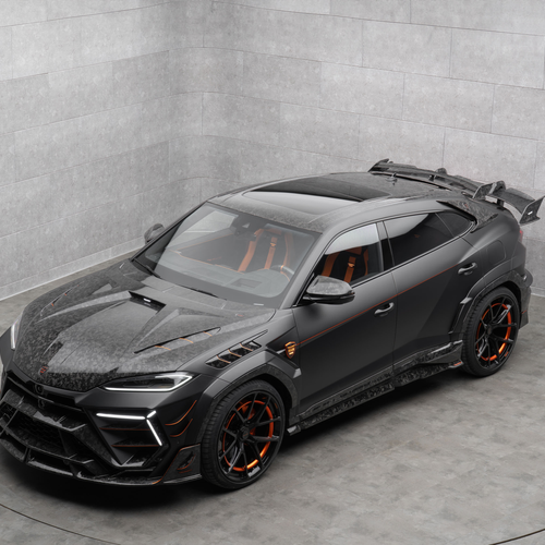 2026 Mansory Venatus SE Top View